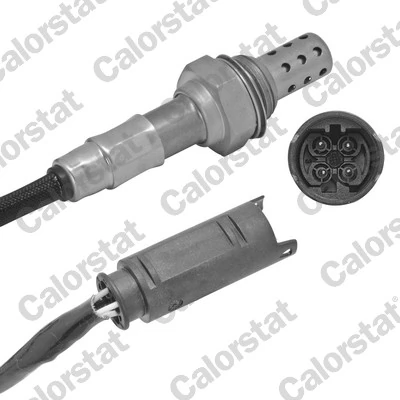 Oxygen Sensor